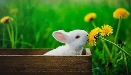 北京国安：抖擞精神，战斗到底